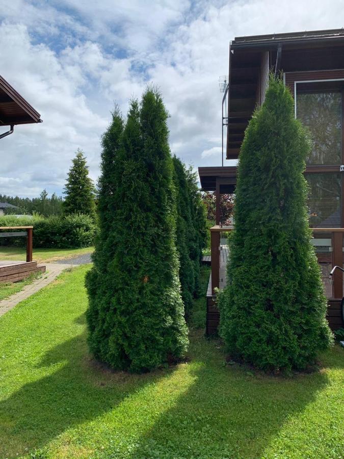 Kiurunrinne Villas Virasoja Dış mekan fotoğraf